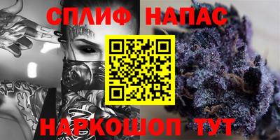 мдпв Партизанск